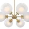 Westinghouse Chandelier 60W 6-Light Dorney Champagne Brass Frosted Glass 6128100 - alternate 4